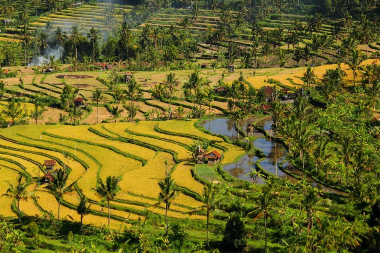 Bali Munduk Delux Bungalow Villa Singaraja Exterior foto