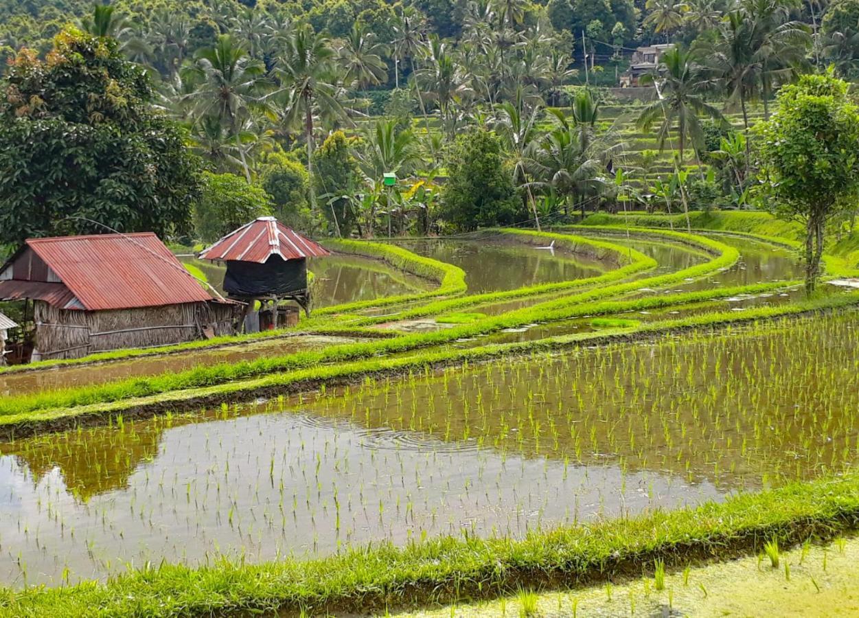 Bali Munduk Delux Bungalow Villa Singaraja Exterior foto