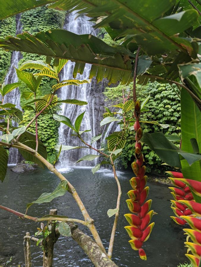 Bali Munduk Delux Bungalow Villa Singaraja Exterior foto