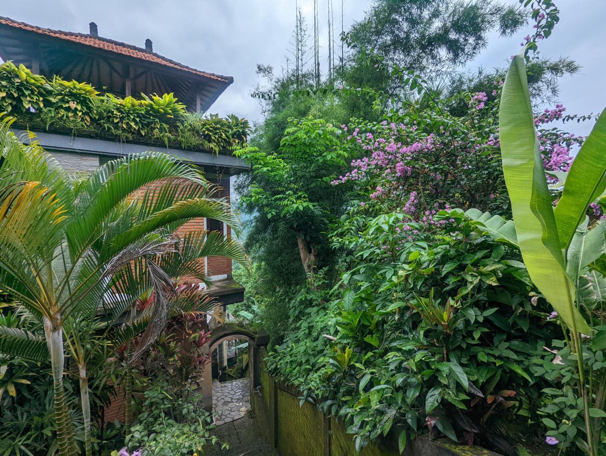 Bali Munduk Delux Bungalow Villa Singaraja Exterior foto