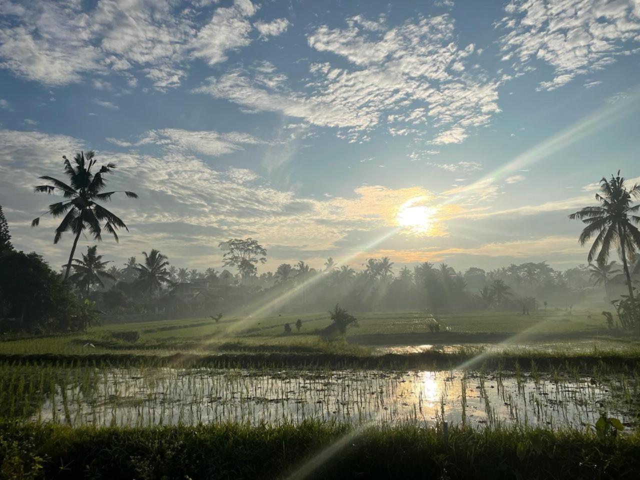 Bali Munduk Delux Bungalow Villa Singaraja Exterior foto